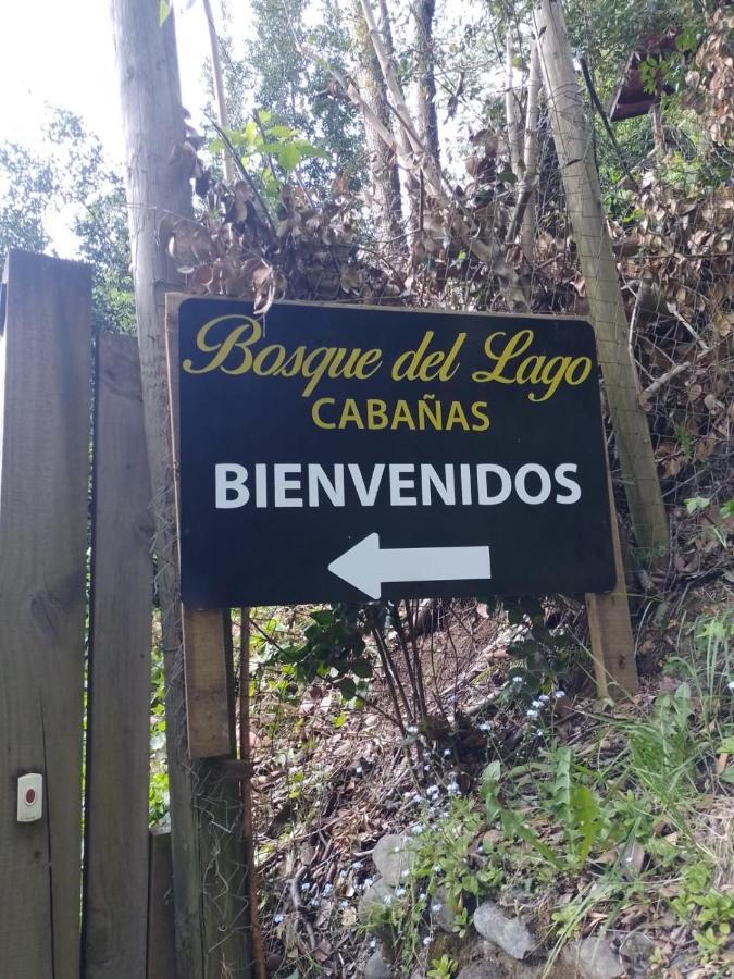 Bosque Del Lago Pucón Екстериор снимка