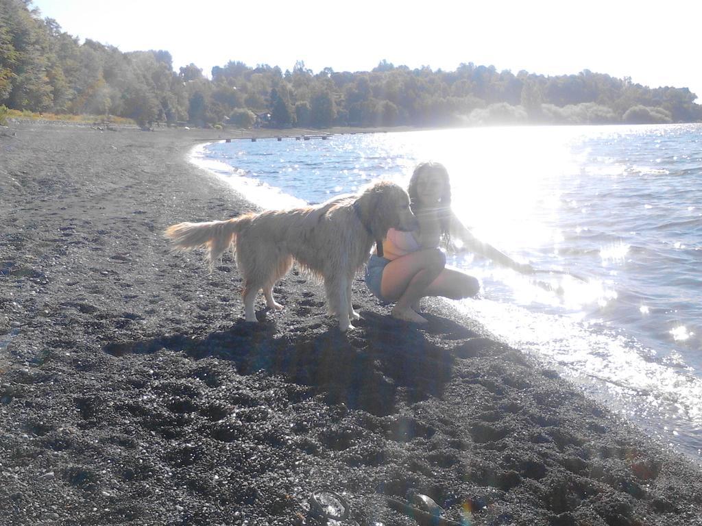 Bosque Del Lago Pucón Екстериор снимка