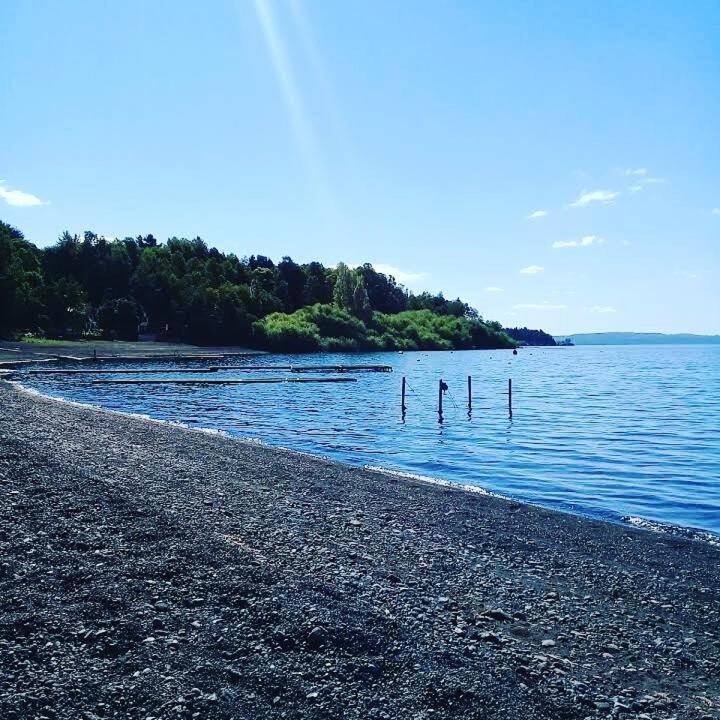Bosque Del Lago Pucón Екстериор снимка